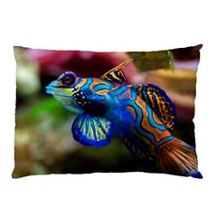 Mandarinfish 1 Pillow Case (two Sides) by trendistuff