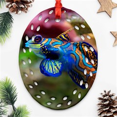 Mandarinfish 1 Oval Filigree Ornament (two Sides) by trendistuff