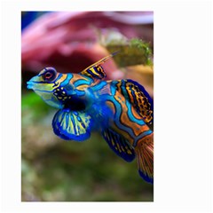 Mandarinfish 1 Small Garden Flag (two Sides) by trendistuff