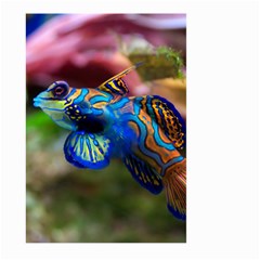 Mandarinfish 1 Large Garden Flag (two Sides) by trendistuff