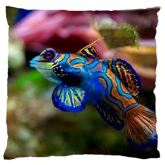 Mandarinfish 1 Large Cushion Case (two Sides) by trendistuff