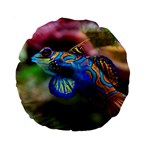 MANDARINFISH 1 Standard 15  Premium Round Cushions Front