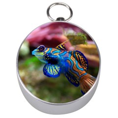 Mandarinfish 1 Silver Compasses by trendistuff