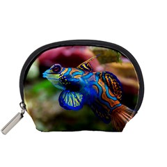 Mandarinfish 1 Accessory Pouches (small) 