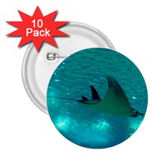 Manta Ray 1 2 25  Buttons (10 Pack)  by trendistuff