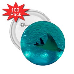 Manta Ray 1 2 25  Buttons (100 Pack)  by trendistuff