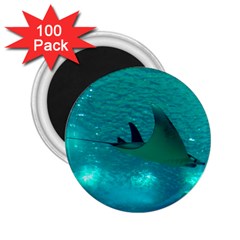 Manta Ray 1 2 25  Magnets (100 Pack)  by trendistuff