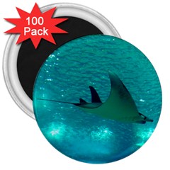 Manta Ray 1 3  Magnets (100 Pack) by trendistuff