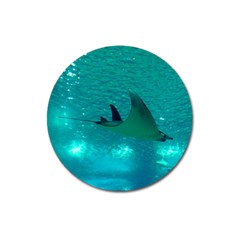 Manta Ray 1 Magnet 3  (round) by trendistuff