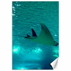 Manta Ray 1 Canvas 12  X 18   by trendistuff