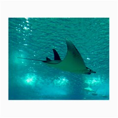 Manta Ray 1 Small Glasses Cloth (2-side) by trendistuff