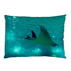 Manta Ray 1 Pillow Case by trendistuff