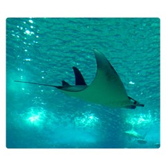 Manta Ray 1 Double Sided Flano Blanket (small)  by trendistuff