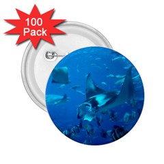 Manta Ray 2 2 25  Buttons (100 Pack)  by trendistuff