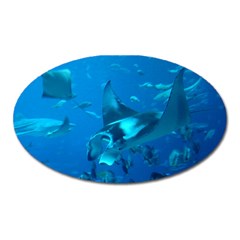 Manta Ray 2 Oval Magnet by trendistuff