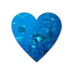 Manta Ray 2 Heart Magnet by trendistuff