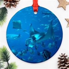 Manta Ray 2 Round Ornament (two Sides) by trendistuff