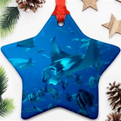 Manta Ray 2 Star Ornament (two Sides) by trendistuff