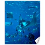 MANTA RAY 2 Canvas 11  x 14   10.95 x13.48  Canvas - 1