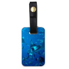 Manta Ray 2 Luggage Tags (one Side)  by trendistuff