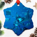 MANTA RAY 2 Ornament (Snowflake) Front