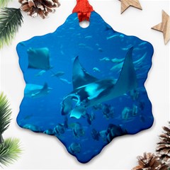 Manta Ray 2 Snowflake Ornament (two Sides) by trendistuff