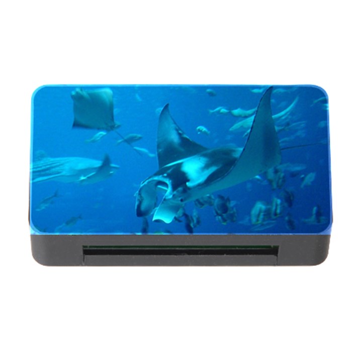 MANTA RAY 2 Memory Card Reader with CF