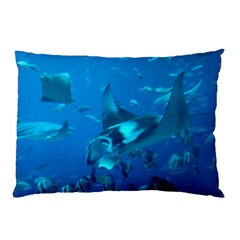 Manta Ray 2 Pillow Case (two Sides) by trendistuff