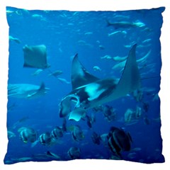 Manta Ray 2 Large Cushion Case (two Sides) by trendistuff