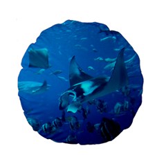 Manta Ray 2 Standard 15  Premium Round Cushions by trendistuff