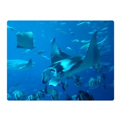 Manta Ray 2 Double Sided Flano Blanket (mini)  by trendistuff