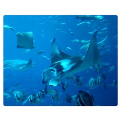 Manta Ray 2 Double Sided Flano Blanket (medium)  by trendistuff