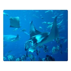 Manta Ray 2 Double Sided Flano Blanket (large)  by trendistuff