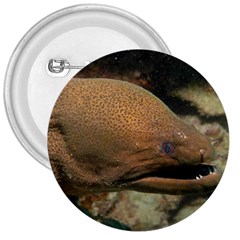 Moray Eel 1 3  Buttons by trendistuff