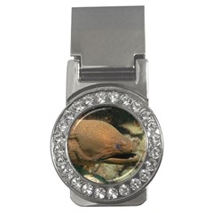 Moray Eel 1 Money Clips (cz)  by trendistuff