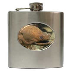 Moray Eel 1 Hip Flask (6 Oz) by trendistuff