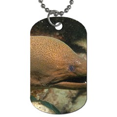 Moray Eel 1 Dog Tag (two Sides) by trendistuff