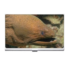 Moray Eel 1 Business Card Holders by trendistuff