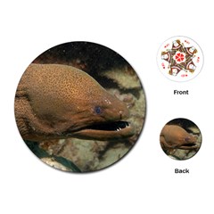 Moray Eel 1 Playing Cards (round)  by trendistuff