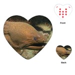 MORAY EEL 1 Playing Cards (Heart)  Front