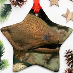 Moray Eel 1 Star Ornament (two Sides) by trendistuff