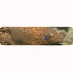 Moray Eel 1 Large Bar Mats by trendistuff