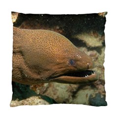 Moray Eel 1 Standard Cushion Case (one Side) by trendistuff