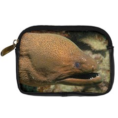 Moray Eel 1 Digital Camera Cases by trendistuff