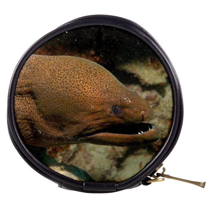 MORAY EEL 1 Mini Makeup Bags