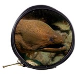 MORAY EEL 1 Mini Makeup Bags Back