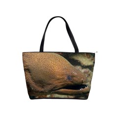 Moray Eel 1 Shoulder Handbags by trendistuff