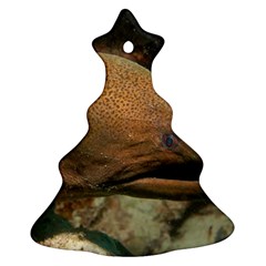 Moray Eel 1 Christmas Tree Ornament (two Sides)