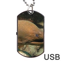 Moray Eel 1 Dog Tag Usb Flash (two Sides) by trendistuff