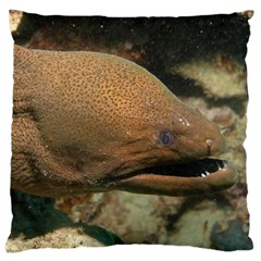 Moray Eel 1 Large Cushion Case (two Sides) by trendistuff